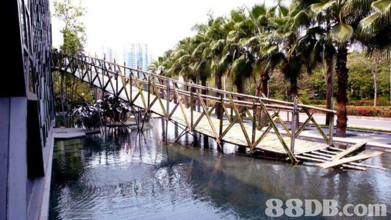   Bridge,Water,Tree,Nonbuilding structure,Bayou