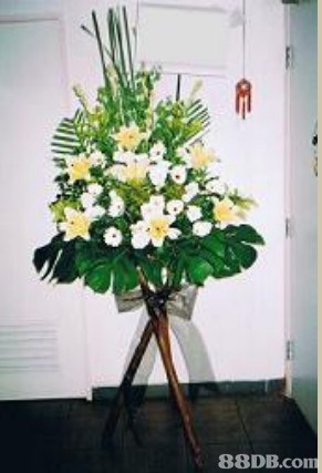 名花店 MayFloris提供悼念花牌、白事花圈、花圈等產品 