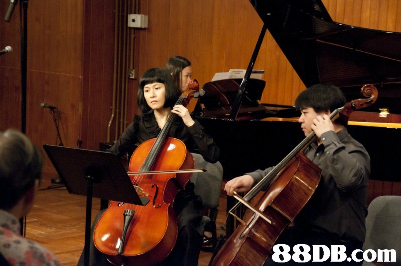 i/,music,cello,musician,string instrument,orchestra