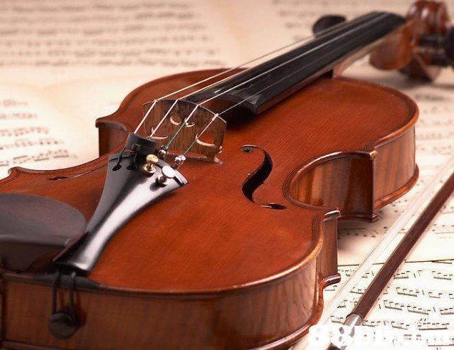  musical instrument,violin,violin family,viola,string instrument