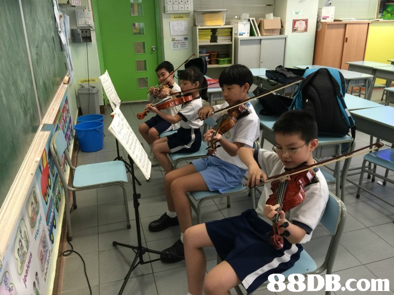 88DB.com  musical instrument