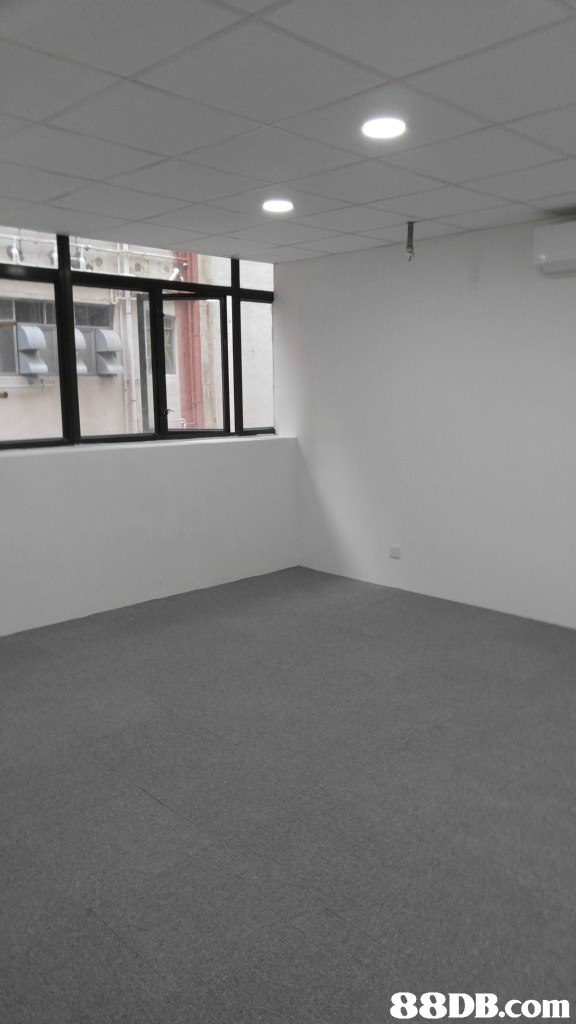 property,floor,wall,flooring,daylighting