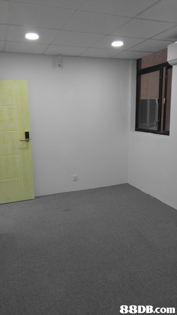 property,wall,room,floor,real estate