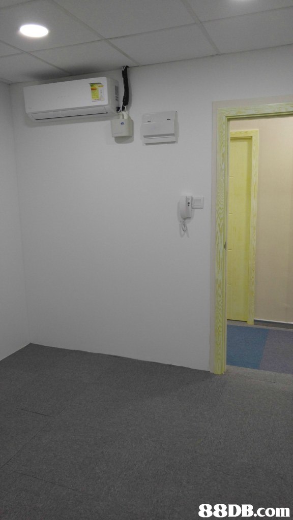 property,wall,room,floor,real estate