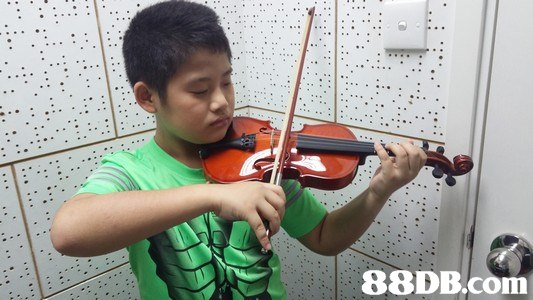 Violinist,Violin,Violist,Musical instrument,Viola