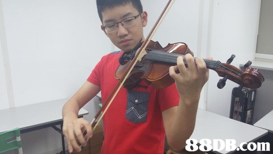 com,Violin,Violinist,String instrument,Musical instrument,Violist