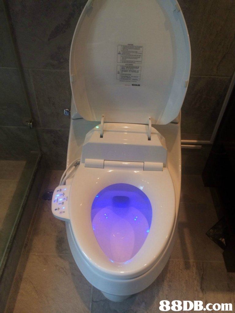   toilet,purple,plumbing fixture,toilet seat,bidet