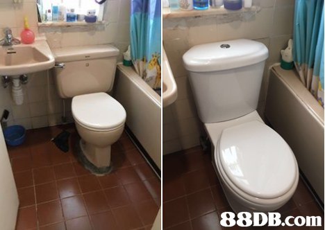   bathroom,property,room,toilet,plumbing fixture
