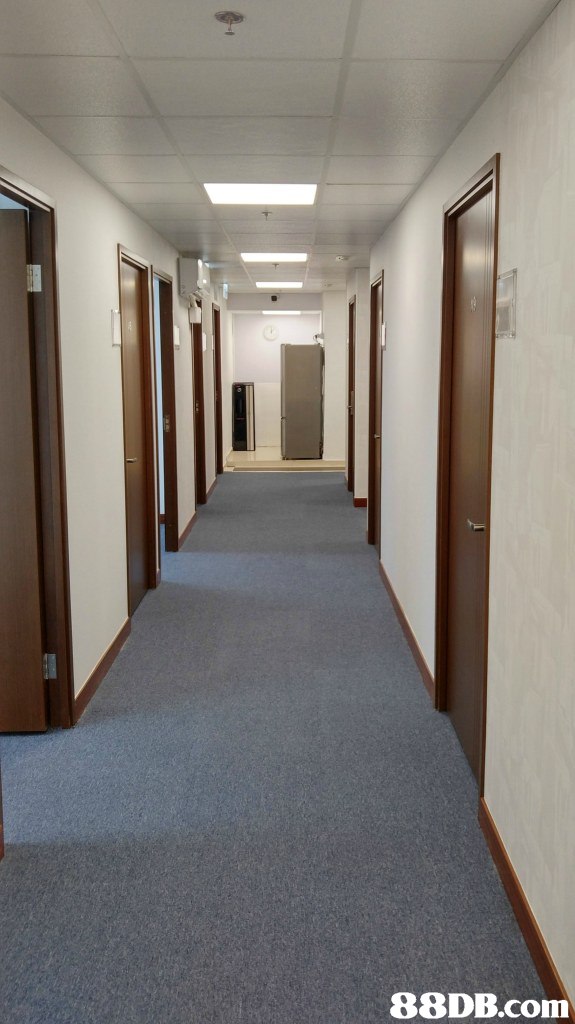property,floor,room,flooring,lobby
