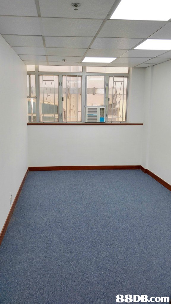 property,floor,room,flooring,real estate