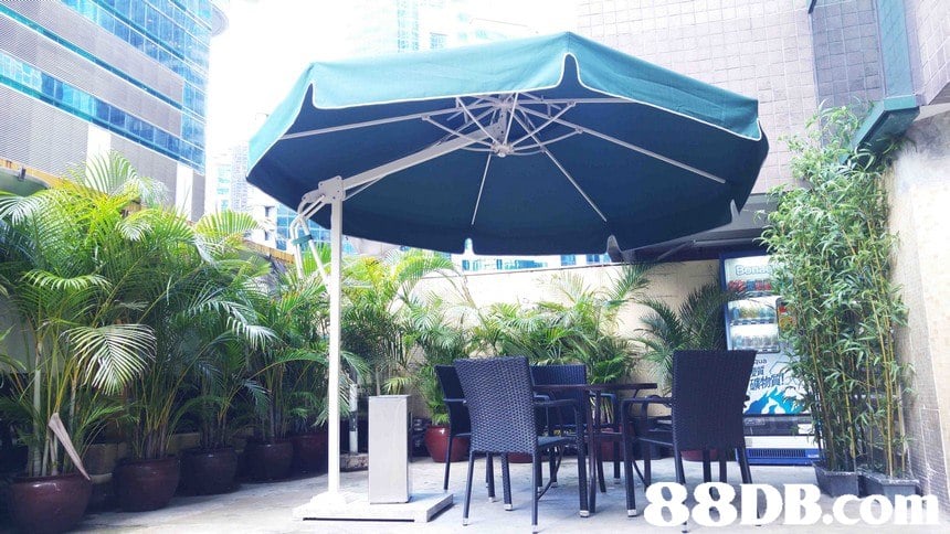  umbrella,property,canopy,shade,real estate