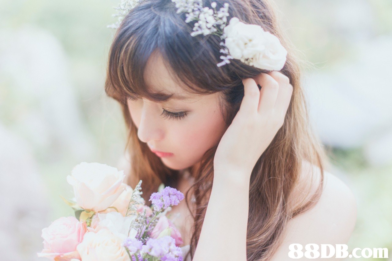 88DB.com  flower