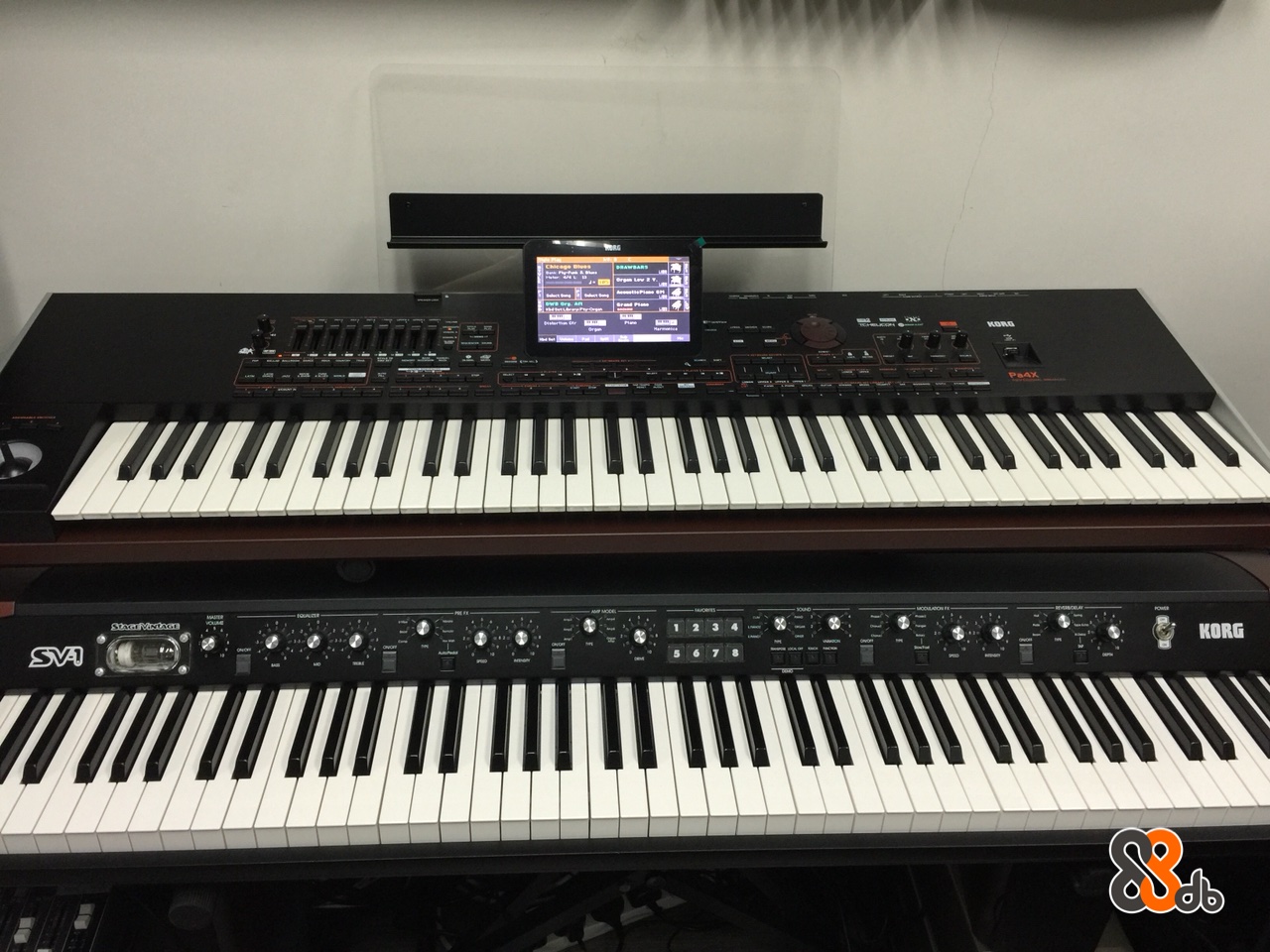 KORG  musical instrument,keyboard,piano,electronic instrument,digital piano