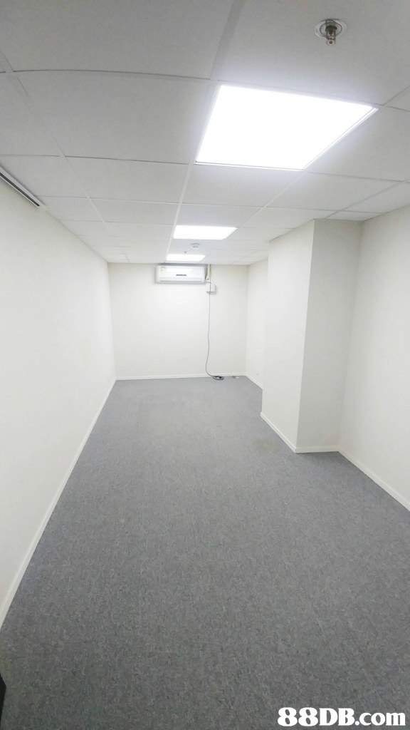 property,ceiling,floor,wall,daylighting