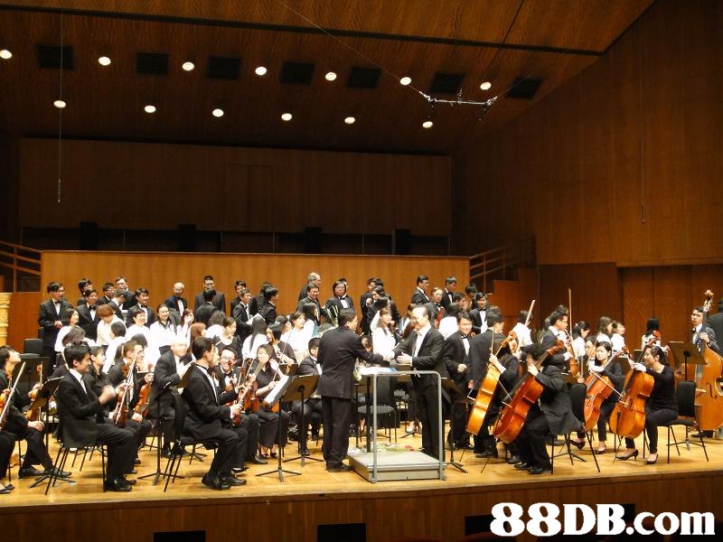 88DB.com  orchestra