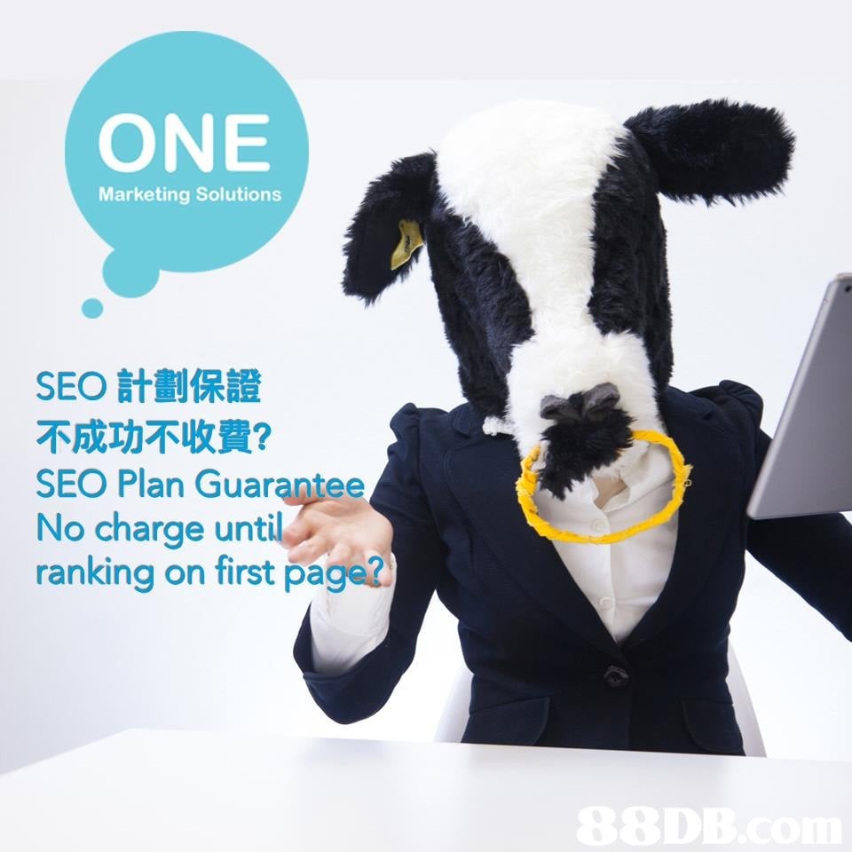 ONE Marketing Solutions SEO計劃保證 不成功不收費? SEO Plan Guarantee No charge until ranking on first page  product