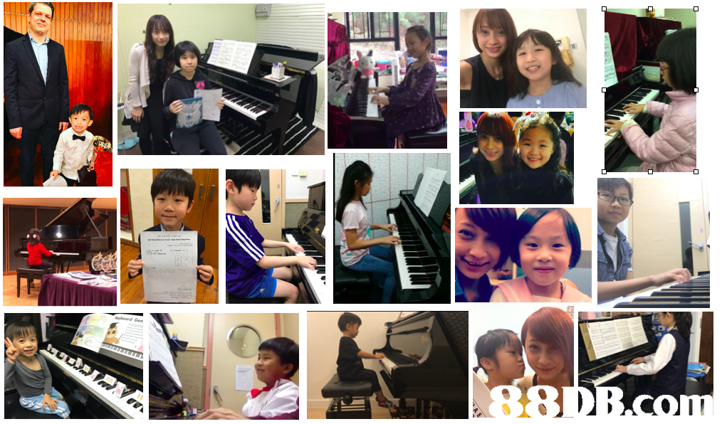 collage,