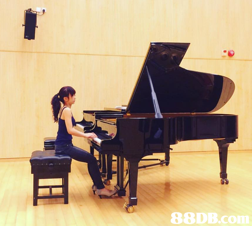 piano,pianist,keyboard,player piano,fortepiano