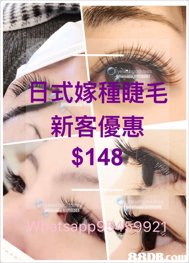-Whatsapp,51710261 日式嫁種睫毛 新客優惠 $148 las ats as 921  eyebrow,eyelash,eye shadow,cosmetics,purple