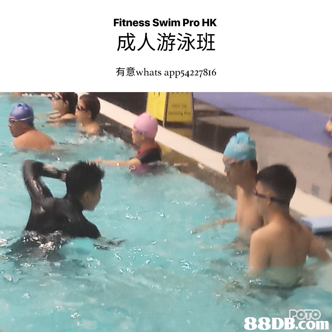 Fitness Swim Pro HK 成人游泳班 有意whats a pp542 27816 POTO   leisure,swimming pool,fun,swimming,water