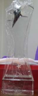 glass,drinkware,