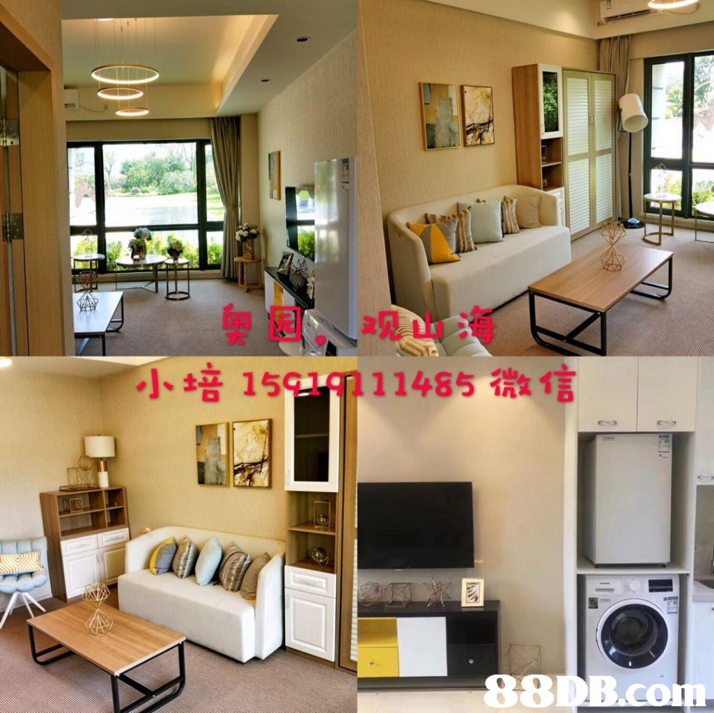 小培159 1 9111485微信 8  property,interior design,living room,furniture,home