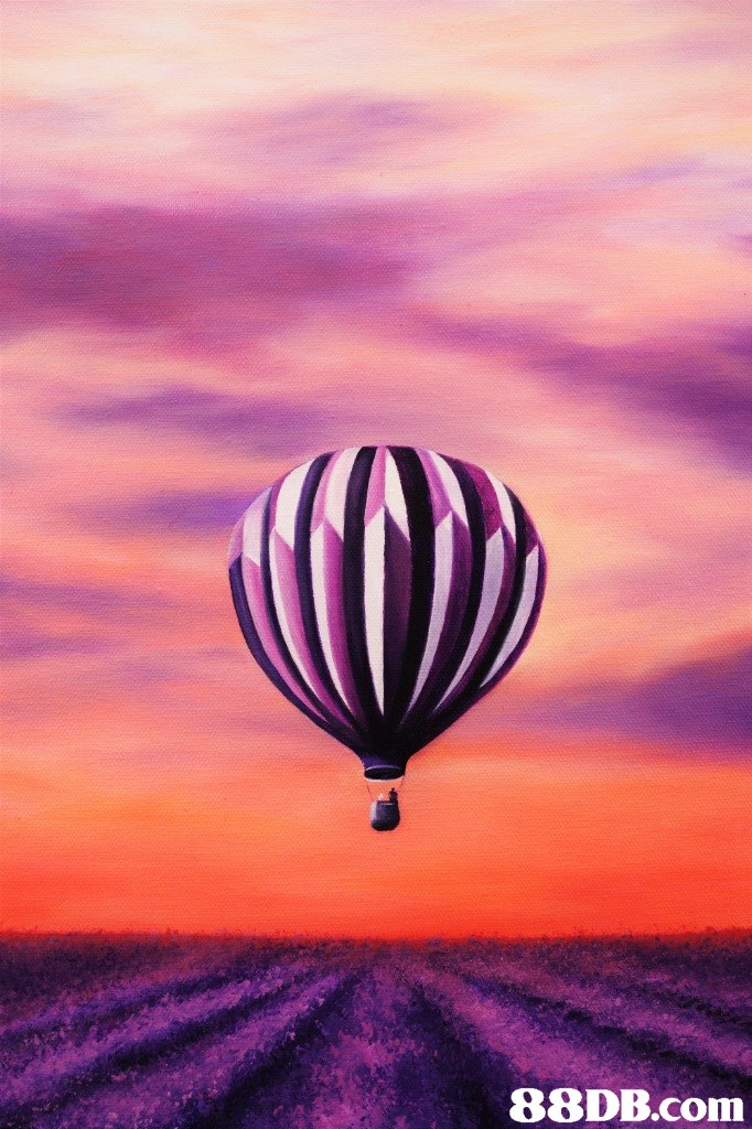 88DB.com  hot air balloon