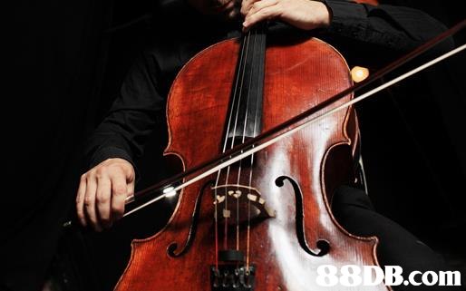 88SD B.com  cello