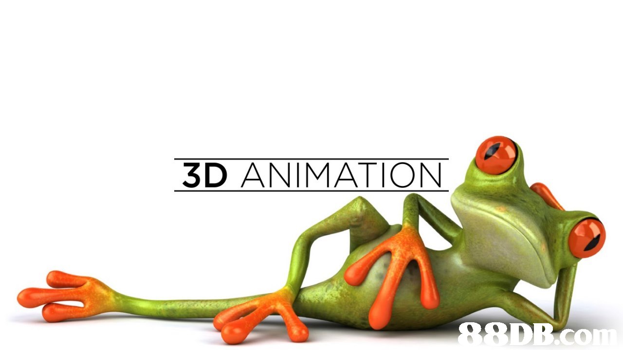 3D ANIMATION  amphibian,frog,vertebrate,tree frog,ranidae