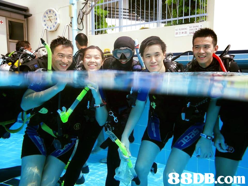 NO RUNNING NO DIVING IN 請勿奔跑浇水   fun,youth,leisure,product,divemaster