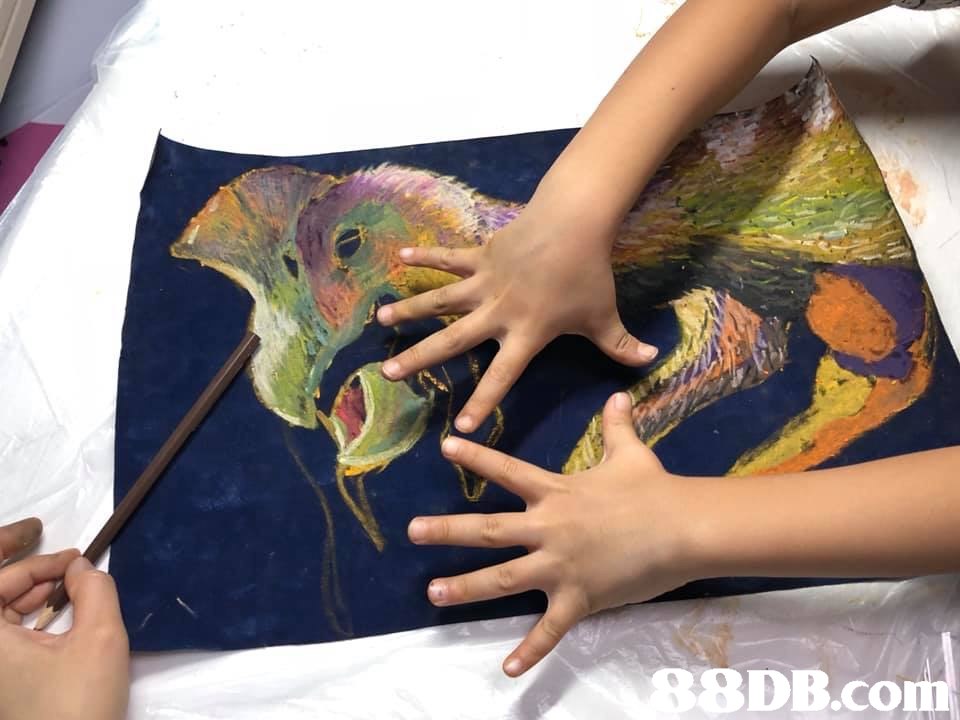 S9DB.com,finger