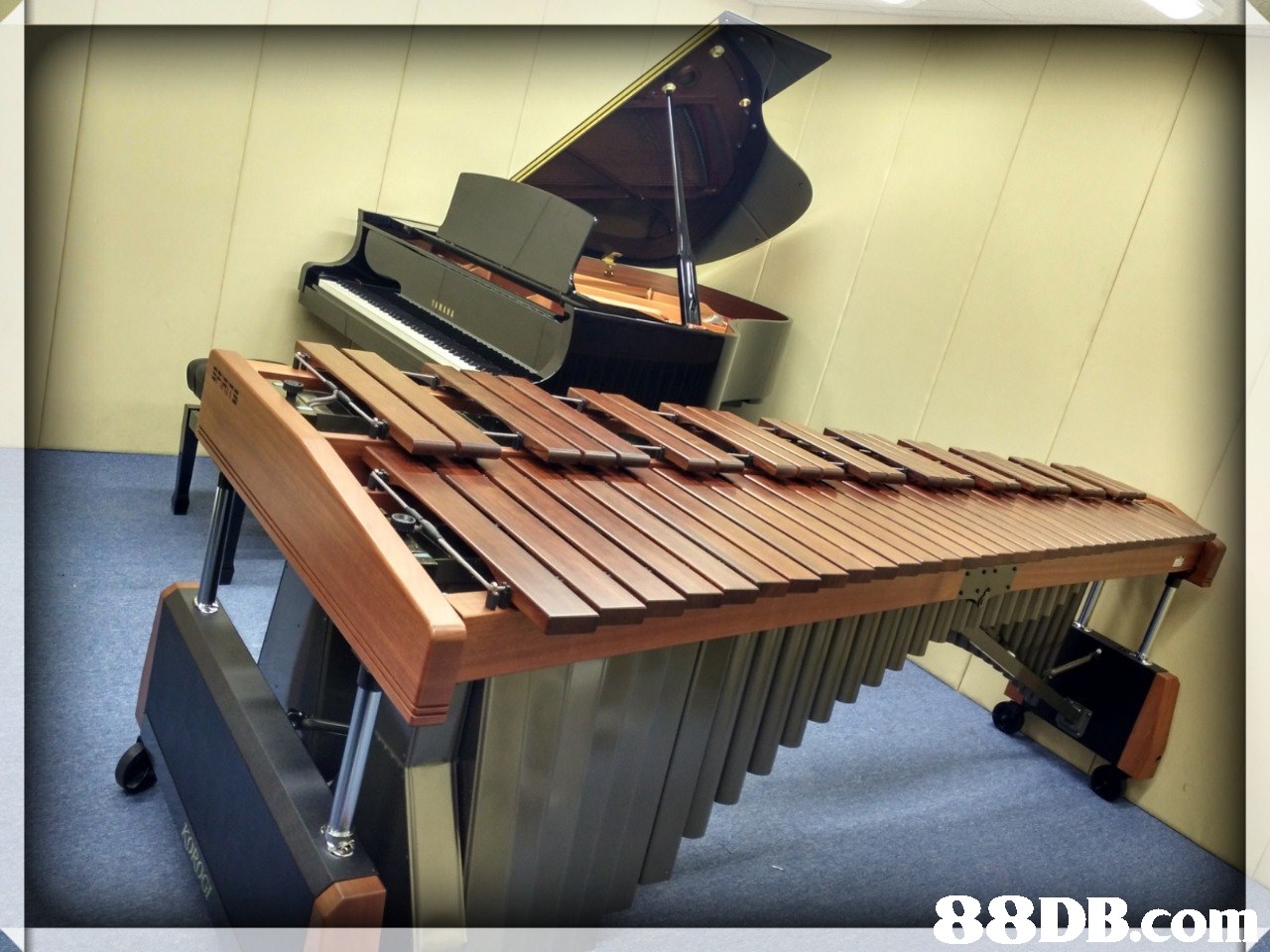 8DB.con  musical instrument,xylophone,marimba,spinet,piano