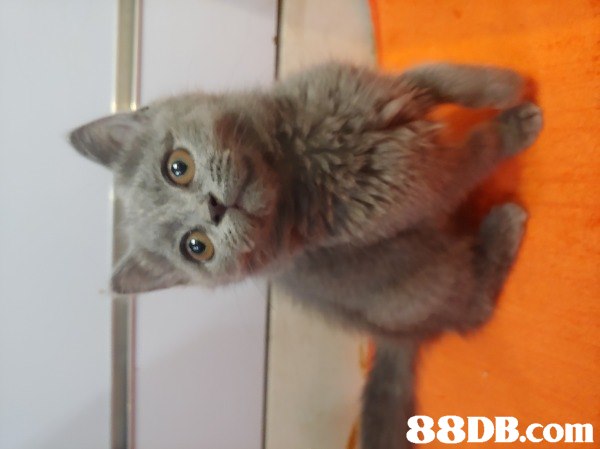 M-7b1bf7d4-62b1-437b-ba82-ed88ca9c9ce1.jpg