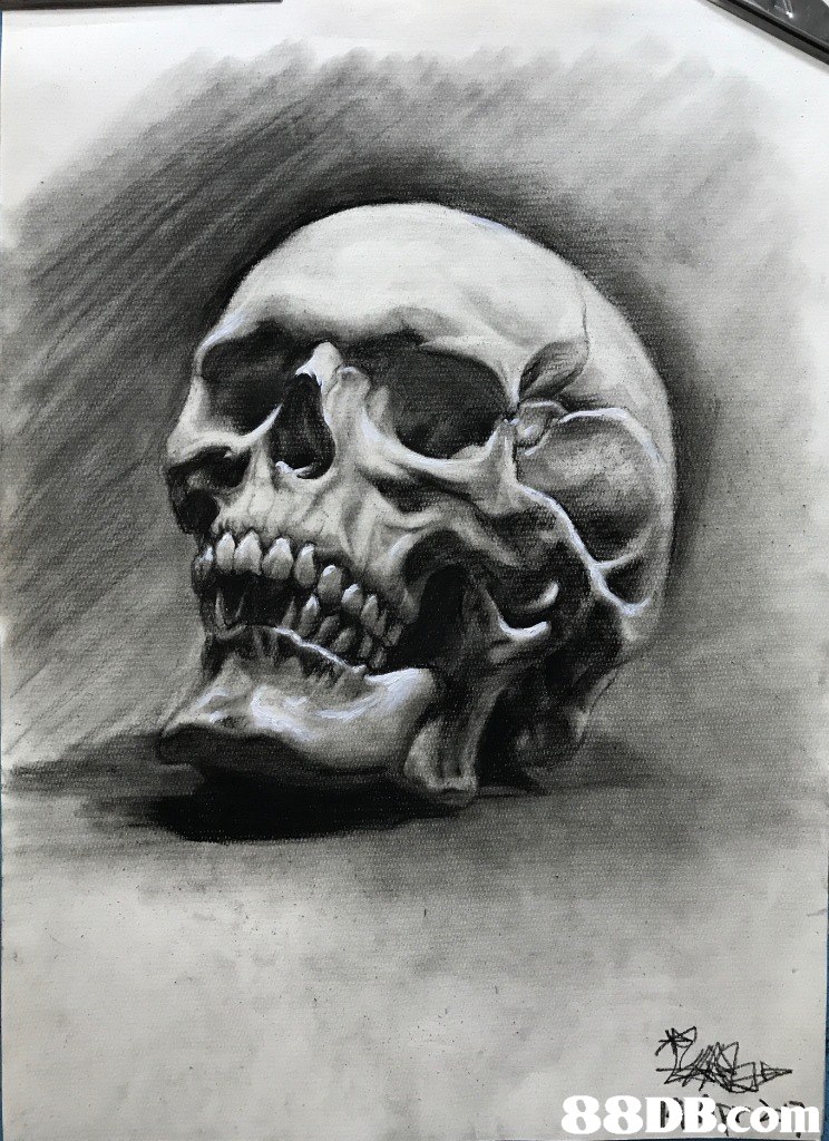 88D B com  bone,black and white,skull,jaw,drawing