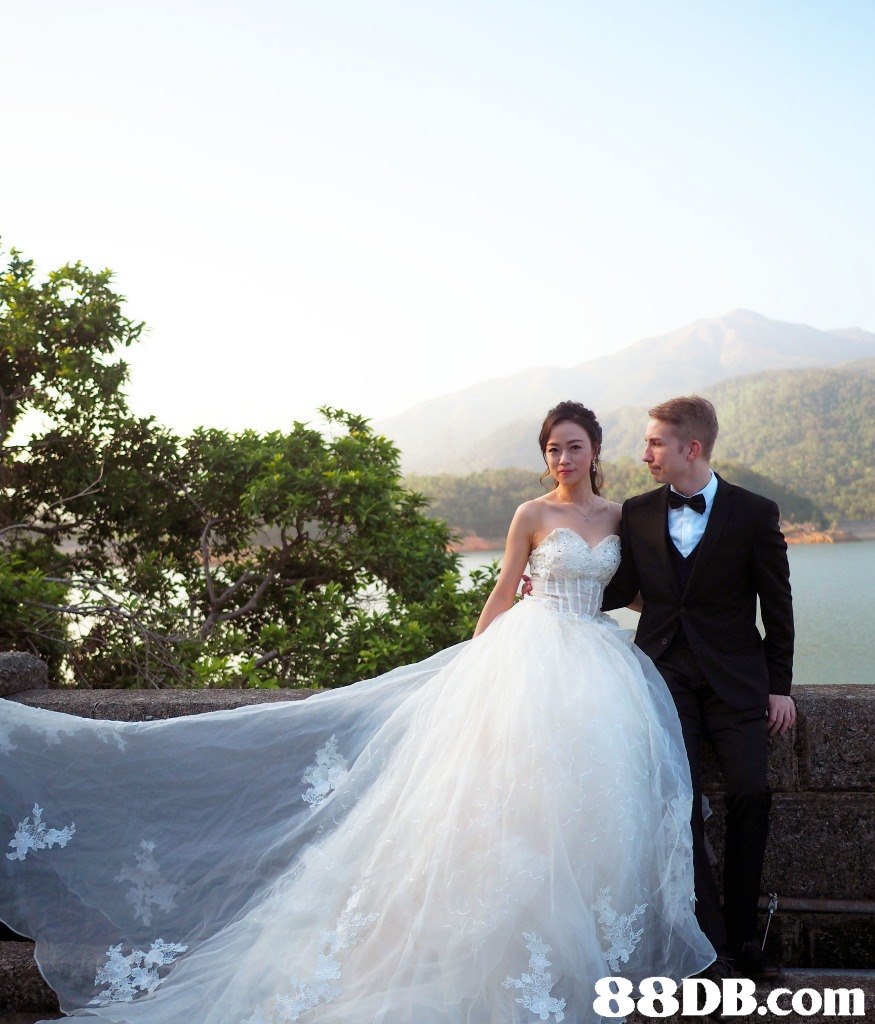   gown,photograph,wedding dress,bride,dress
