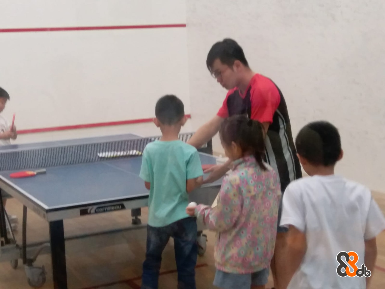  Ping pong,Racquet sport,Room,Indoor games and sports,Fun