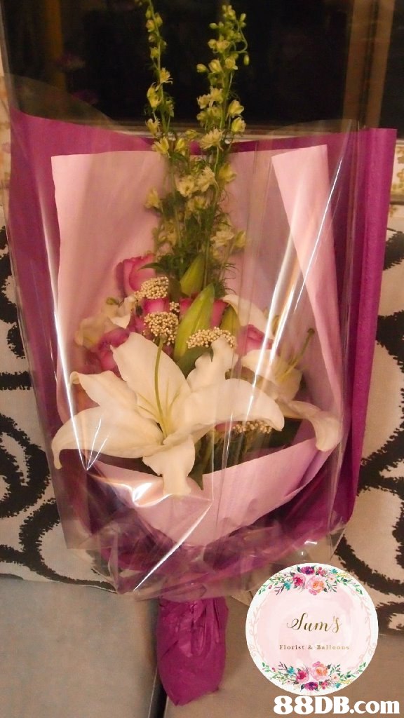 Florist&Balloons   Cut flowers,Flower Arranging,Centrepiece,Flower,Floristry