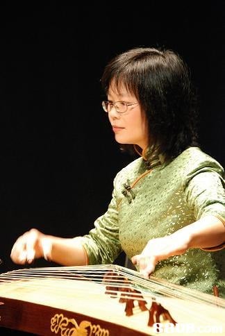  Koto,Đàn tranh,Guzheng,Ajaeng,Musical instrument