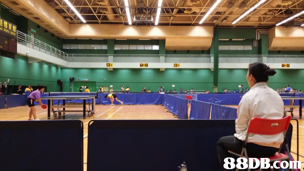   Racquet sport,Ping pong,Sports,Individual sports,Sport venue