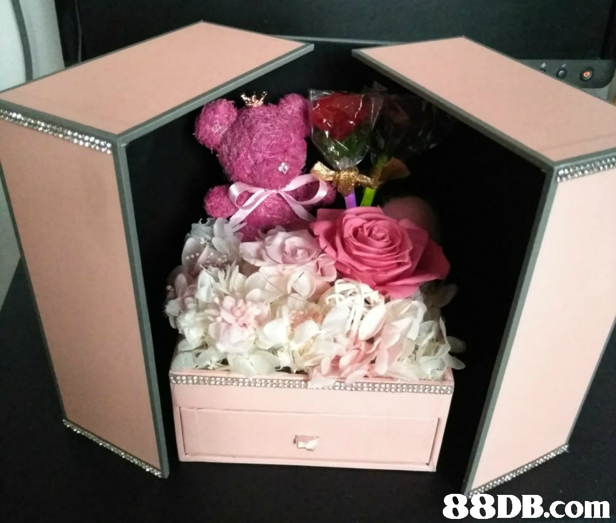 Pink,Flower,Rose,Petal,Cut flowers