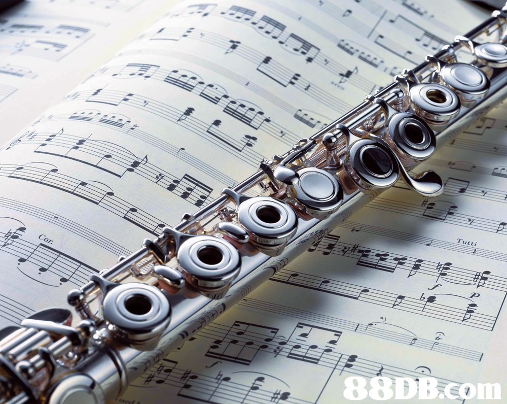 Tutti Cor 88DB com,Sheet music,Music,Musical instrument,Woodwind instrument,Wind instrument