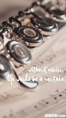 Text,Close-up,Photography,Font,