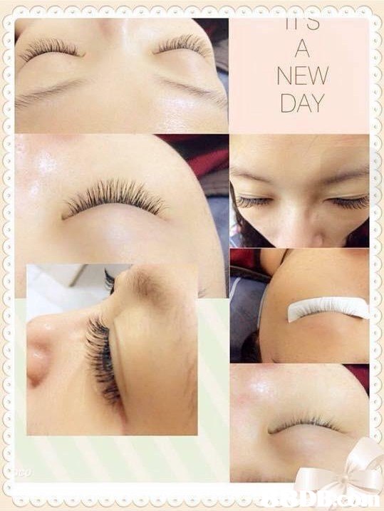 NEW DAY,Eyebrow,Eyelash,Skin,Nose,Eye