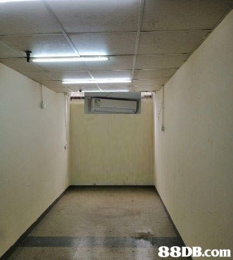   Property,Ceiling,Building,Wall,Room