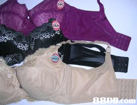 34C 36A 40D DB.com  Clothing,Undergarment,Undergarment,Magenta,Lingerie top