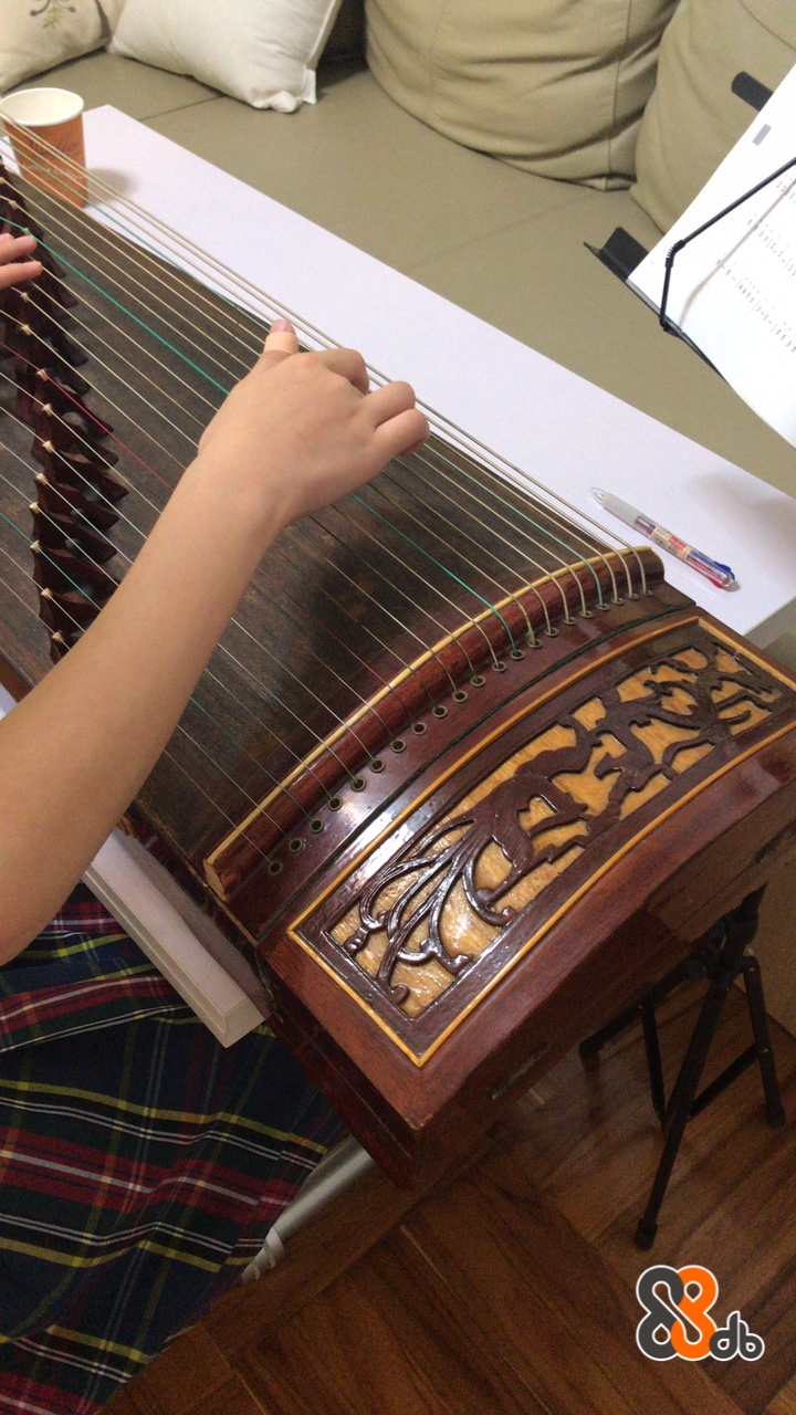  Musical instrument,Folk instrument,Guzheng,Traditional chinese musical instruments,Plucked string instruments