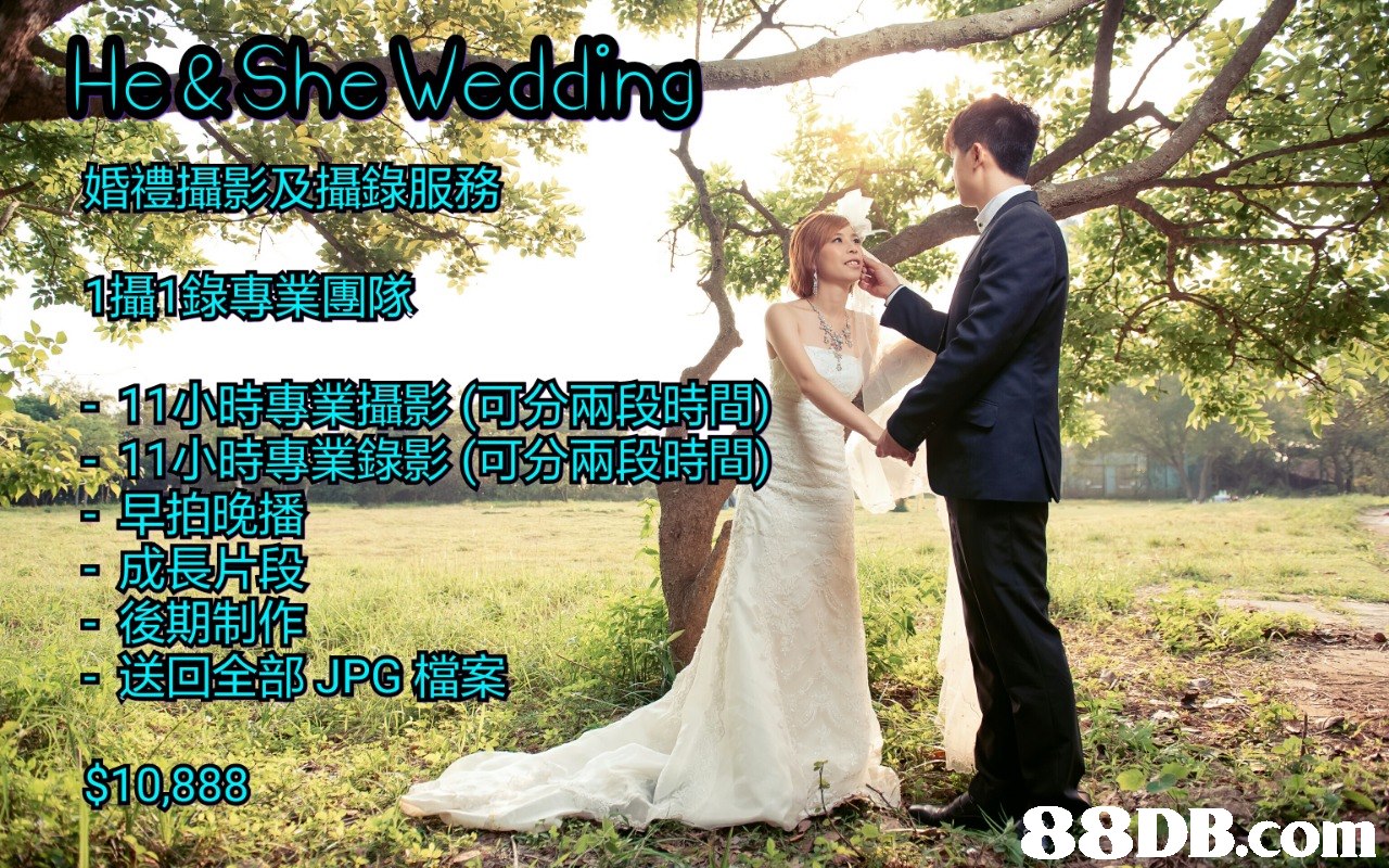 He& She Wedding 011攝1錄專業團隊 - -11小時專業攝影(可分兩段時間) 11小時專業錄影(可分兩段時間) 早拍晚播 成長片段 後期制作 送回全部JPG檔案 $10888   Photograph,Nature,Wedding dress,Bride,Wedding