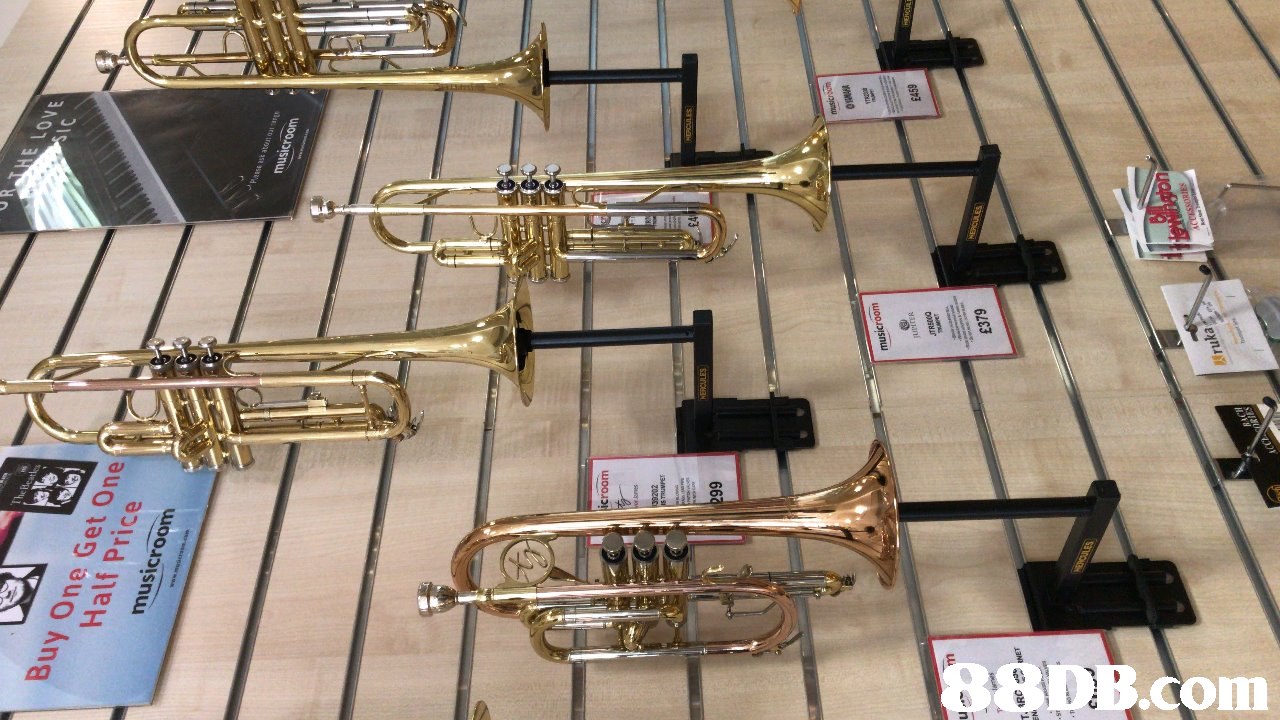 HE LOVE Buy One Get One Half Price musicroom  Brass instrument,Musical instrument,Types of trombone,Wind instrument,Experimental musical instrument