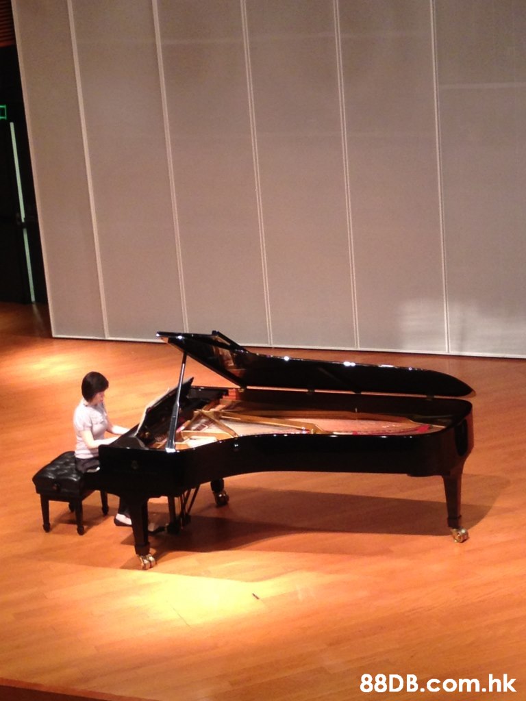 .hk  Pianist,Fortepiano,Recital,Musician,Musical instrument