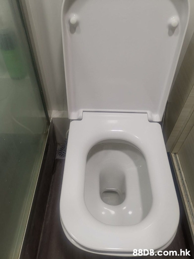 .hk  Toilet,Toilet seat,Plumbing fixture,Restroom,Room